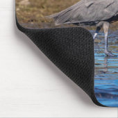 Reddish Egret am North Beach Mousepad (Ecke)