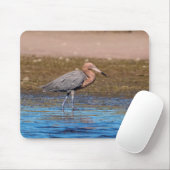 Reddish Egret am North Beach Mousepad (Mit Mouse)