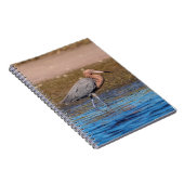 Reddish Egret am North Beach Notizblock (Rechte Seite)