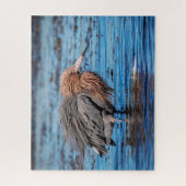 Reddish Egret am North Beach Puzzle (Vertikal)
