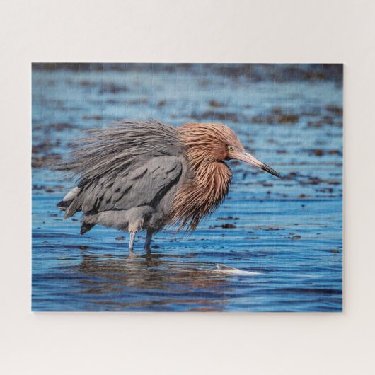 Reddish Egret am North Beach Puzzle (Horizontal)