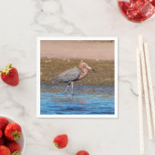 Reddish Egret am North Beach Serviette (Beispiel)