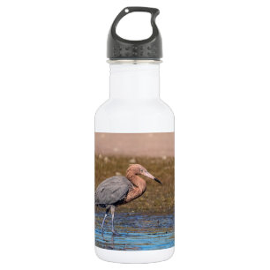 Reddish Egret am North Beach Trinkflasche