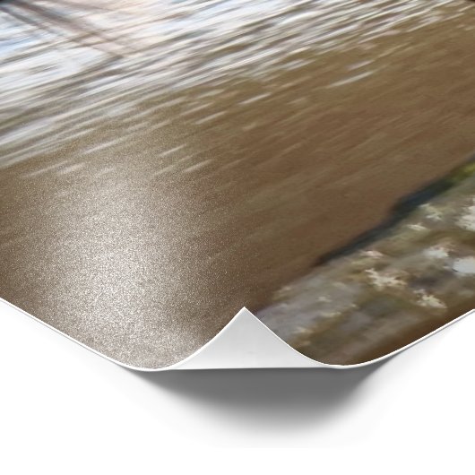 Reddish Egret Fotodruck (Ecke)