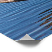 Reddish Egret Poster (Ecke)