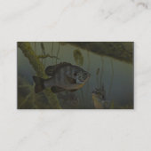 Redear Sunfish Visitenkarte (Rückseite)