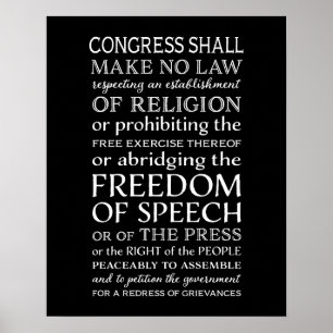 Redefreiheit Verfassungsurkunde-Text Poster