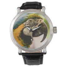 Reden wie eine Piratenschau