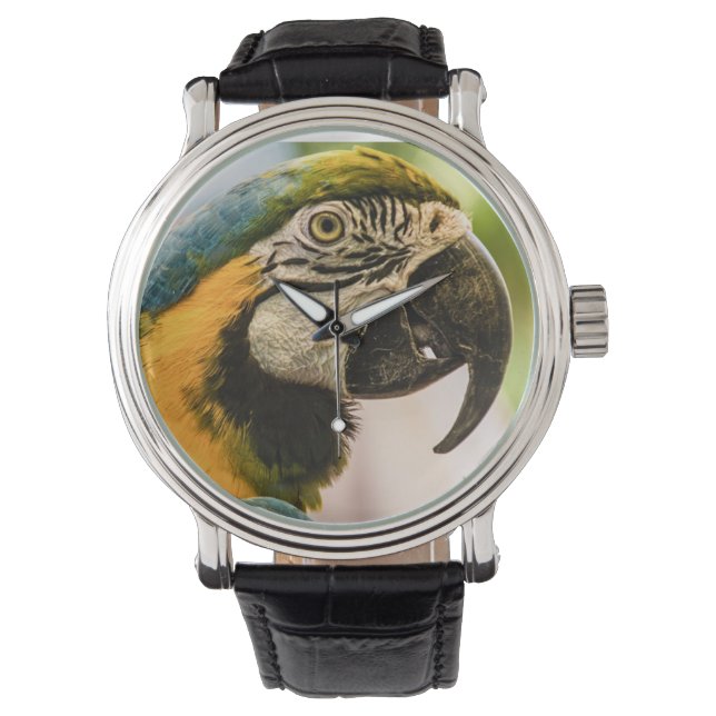 Reden wie eine Piratenschau Armbanduhr (Vorderseite)