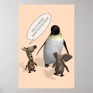 Reden wir über Evolution Poster