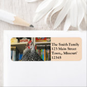 Reden wir über Veganismus-Rücksendeadresse (Insitu)