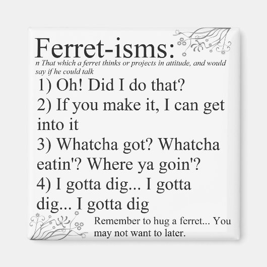 Redewendungen von Ferret Pictures und Zitate Magnet (Vorne)