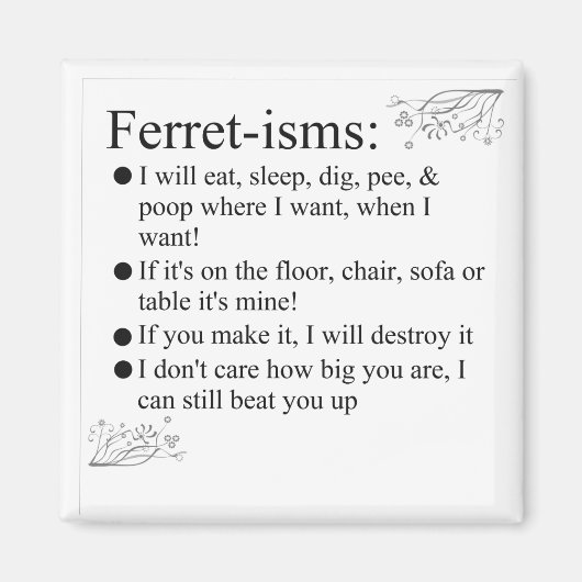 Redewendungen von Ferret Pictures und Zitate Magnet (Vorne)