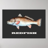 Redfish Poster (Vorne)