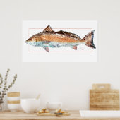 Redfish Poster (Küche)
