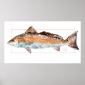 Redfish Poster (Vorne)