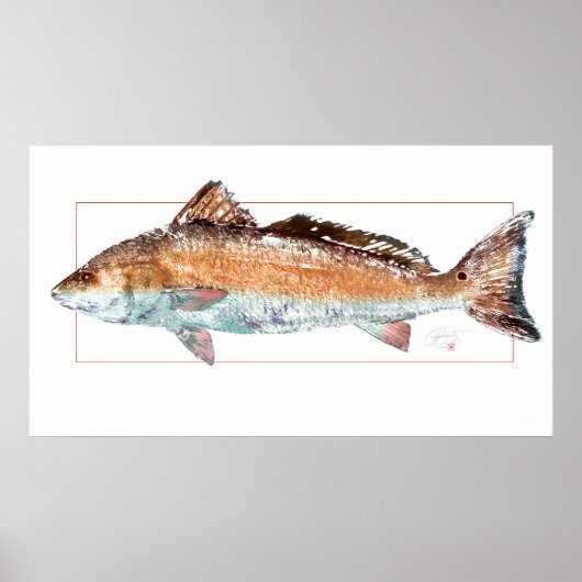 Redfish Poster (Vorne)