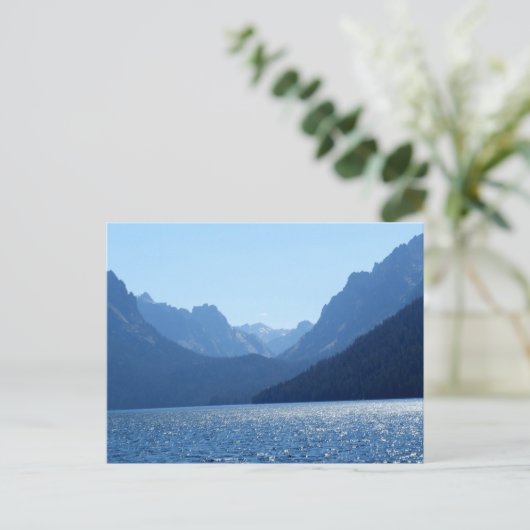 Redfish Postkarte (Stehend Vorderseite)