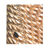 "Redfish" - Red Drum by PatternWear© Notizblock (Vorderseite)