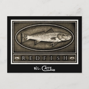 Redfish Vintage Schwarz-Weiß-Postkarten Postkarte