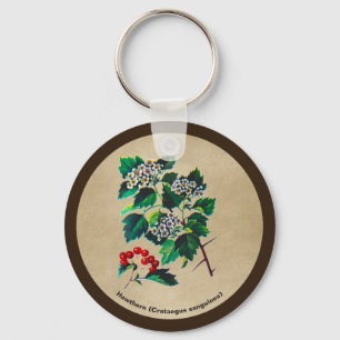 Redhaw Hawthorn über altes Papier Schlüsselanhänger