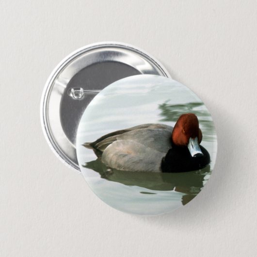 Redhead Drake (unberechtigt) Button (Vorne & Hinten)