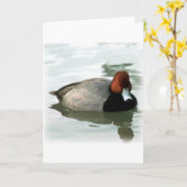 Redhead Drake (unberechtigt) Karte (Gelbe Blume)