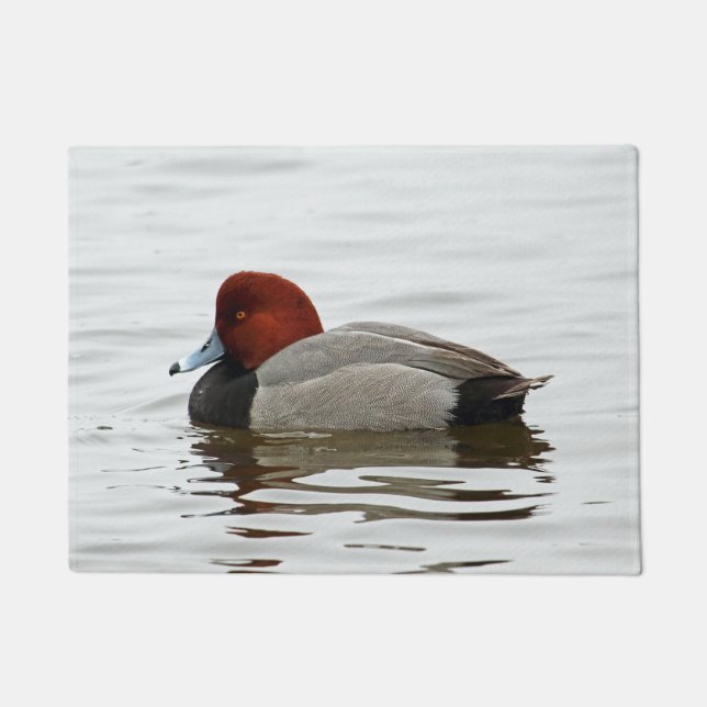 Redhead-Ente Drake Fußmatte (Vorderseite)