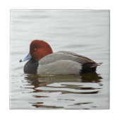 Redhead-Ente Drake - ruhiger Winter-Morgen Fliese (Vorderseite)