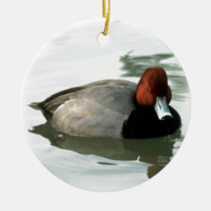 Redhead-Ente Keramikornament