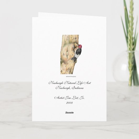 Redheaded Specht Dankeskarte (Rückseite)