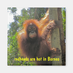 Redheads sind heißer Spaß Magnet
