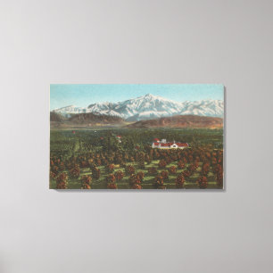 Redlands, CA - Berg u. Obstgarten-Szene Leinwanddruck