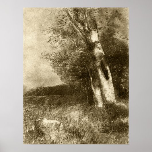 Redon - Landschaft 1880 Poster (Vorne)