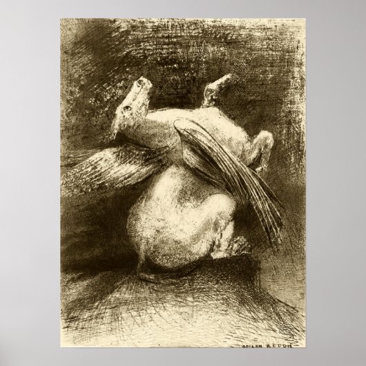 Redon - The Impotentent Wing (Animal Black Space) Poster (Vorne)