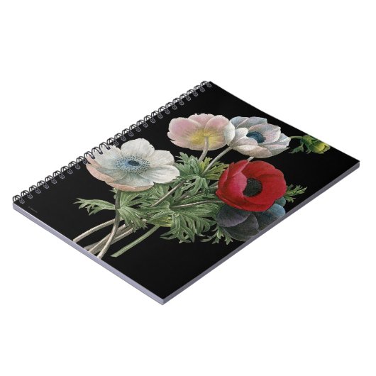 Redoute: Anemone, 1833 Notizblock (Linke Seite)