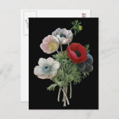 Redoute: Anemone, 1833 Postkarte (Vorne/Hinten)