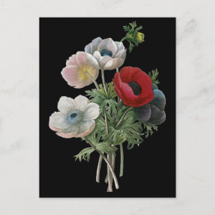 Redoute: Anemone, 1833 Postkarte