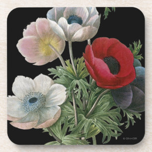 Redoute: Anemone, 1833 Untersetzer
