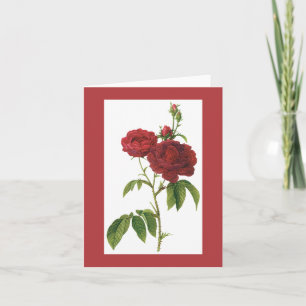 Redoute Bishop Rose Notecard Karte