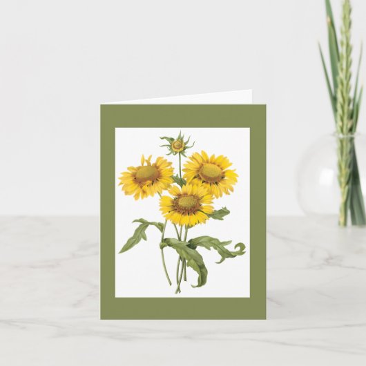 Redoute Blanket Blume Notecard Karte (Vorderseite)