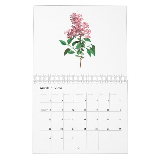 REDOUTÉ BLUME ILLUSTRATION CALENDER KALENDER (Mär 2026)