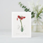 REDOUTÉ BOTANICAL "LILY" POSTCARD POSTKARTE (Stehend Vorderseite)