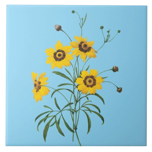 Redoute Coreopsis-Blumenfliese Fliese (Vorderseite)