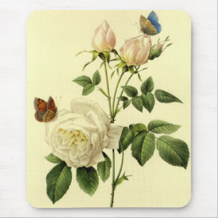 Redoute-Druck: 'Bengal Rose Hymanee' Mousepad