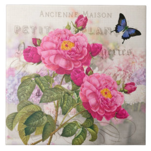 Redoute Französische Rosa Rosen Keramikfliese