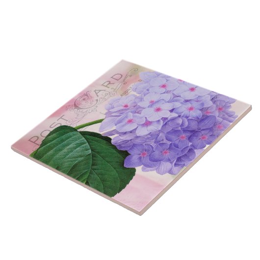Redoute French Lila Hydrangea Keramik Tile Fliese (Seite)