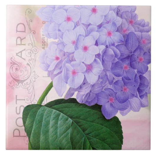 Redoute French Lila Hydrangea Keramik Tile Fliese (Vorderseite)
