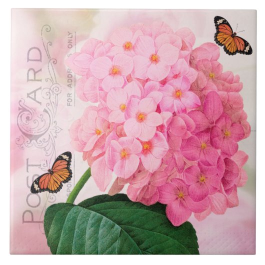 Redoute French Pink Hydrangea Keramik Tile Fliese (Vorderseite)