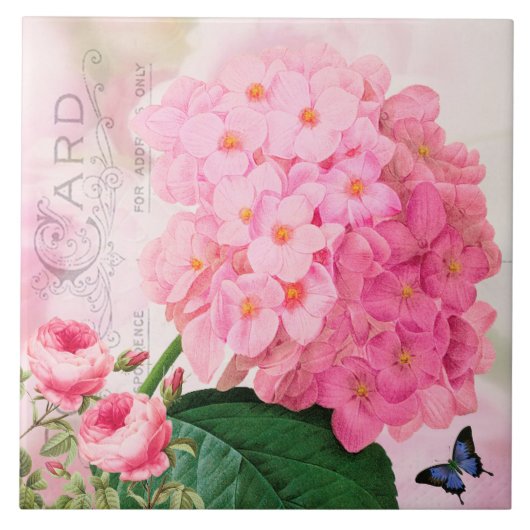 Redoute French Pink Hydrangea Rose Keramik Tile Fliese (Vorderseite)